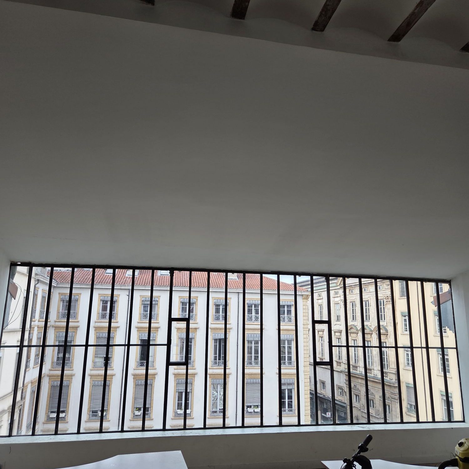 rénovation d'une verrière a Lyon 1e