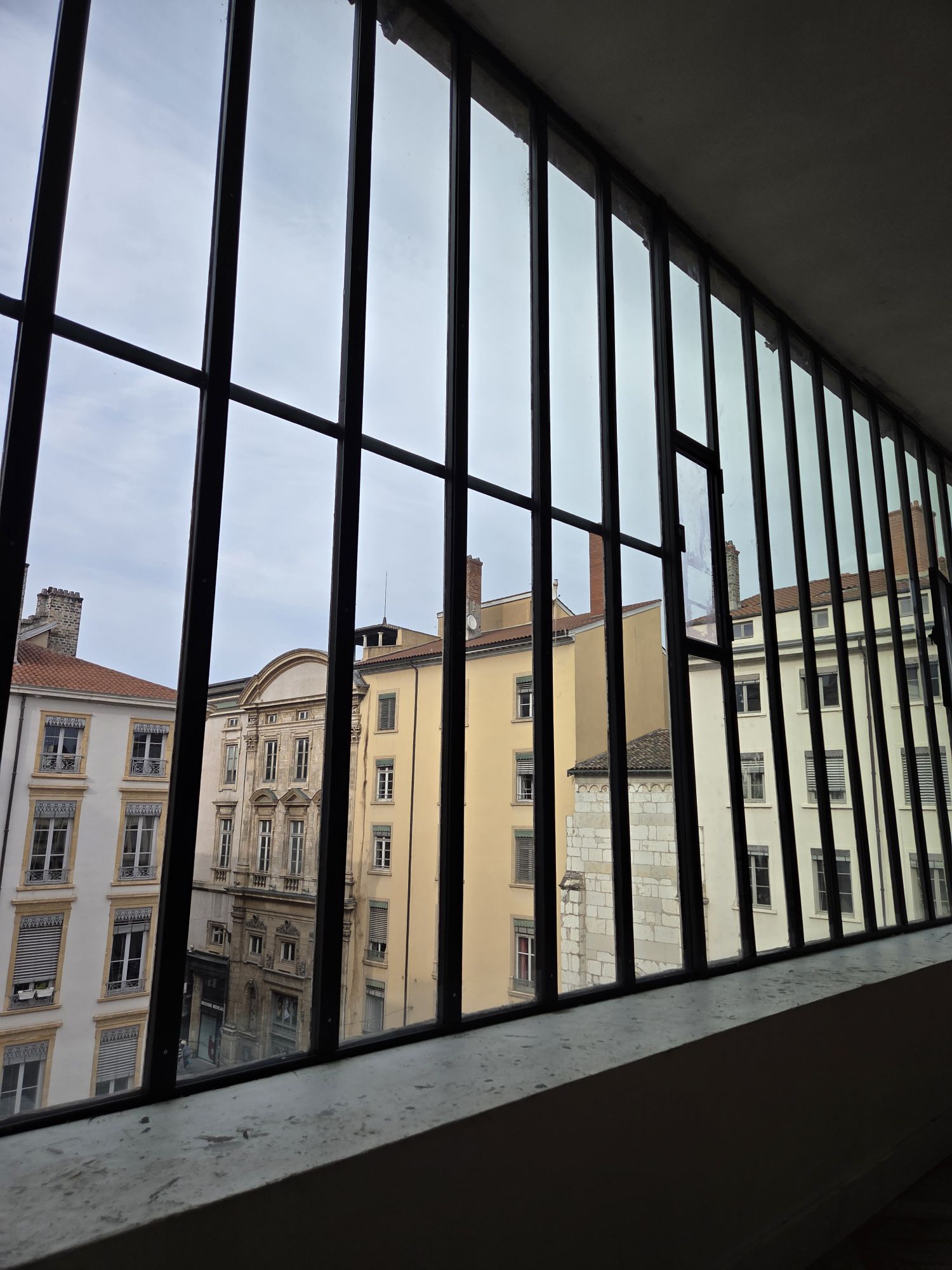 rénovation d'une verrière a Lyon 1e